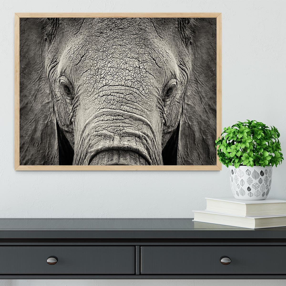 Close-up of African Elephant Framed Print - Canvas Art Rocks - 4