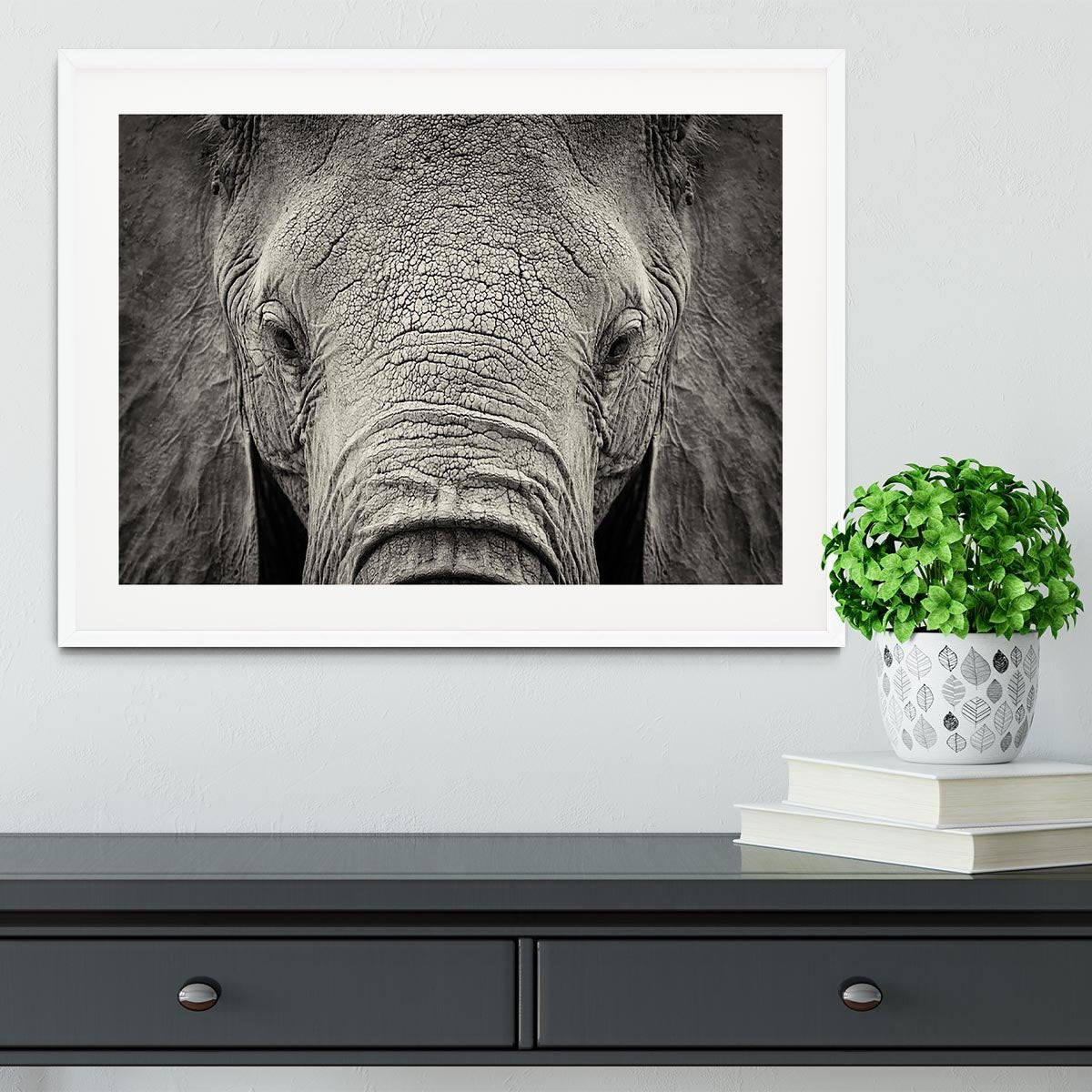 Close-up of African Elephant Framed Print - Canvas Art Rocks - 5