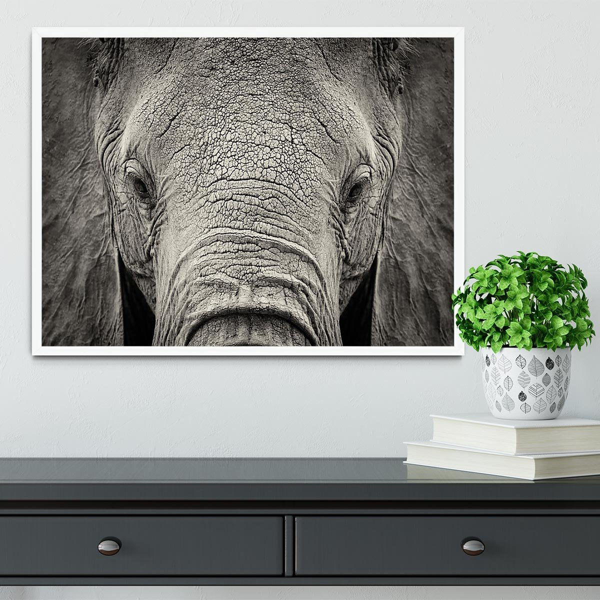Close-up of African Elephant Framed Print - Canvas Art Rocks -6