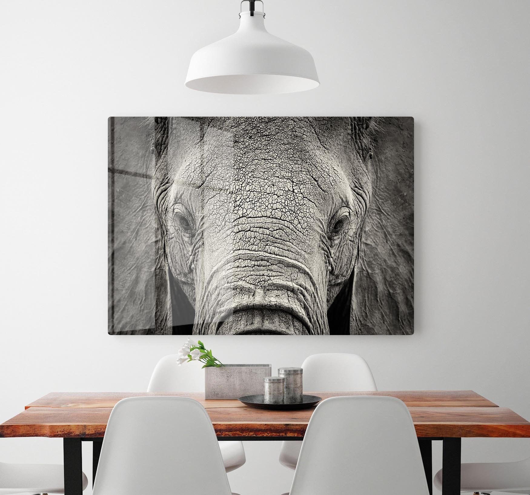 Close-up of African Elephant HD Metal Print - Canvas Art Rocks - 2