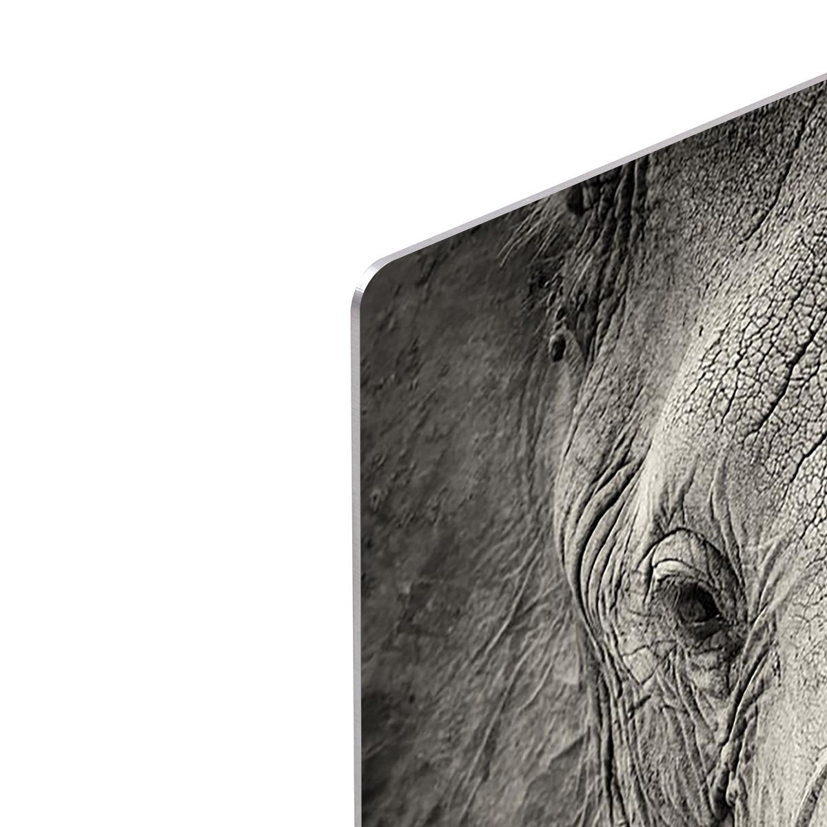 Close-up of African Elephant HD Metal Print - Canvas Art Rocks - 4