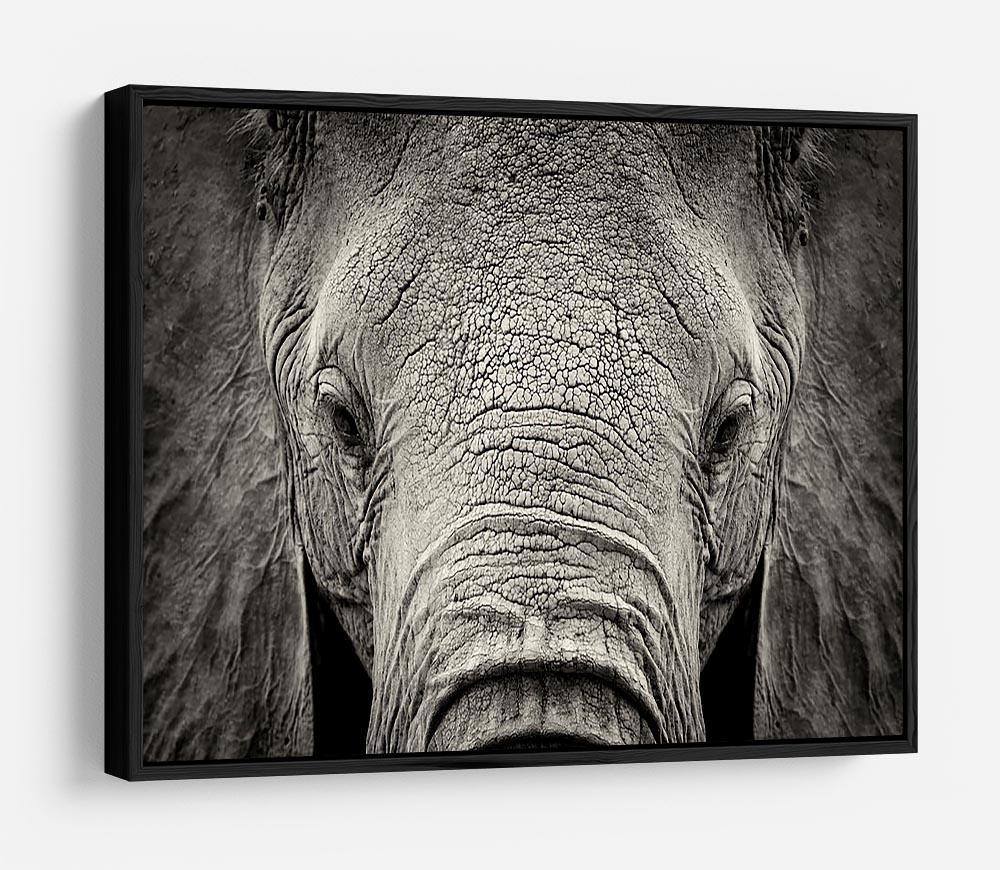 Close-up of African Elephant HD Metal Print - Canvas Art Rocks - 6