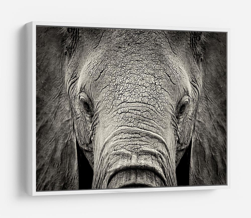 Close-up of African Elephant HD Metal Print - Canvas Art Rocks - 7