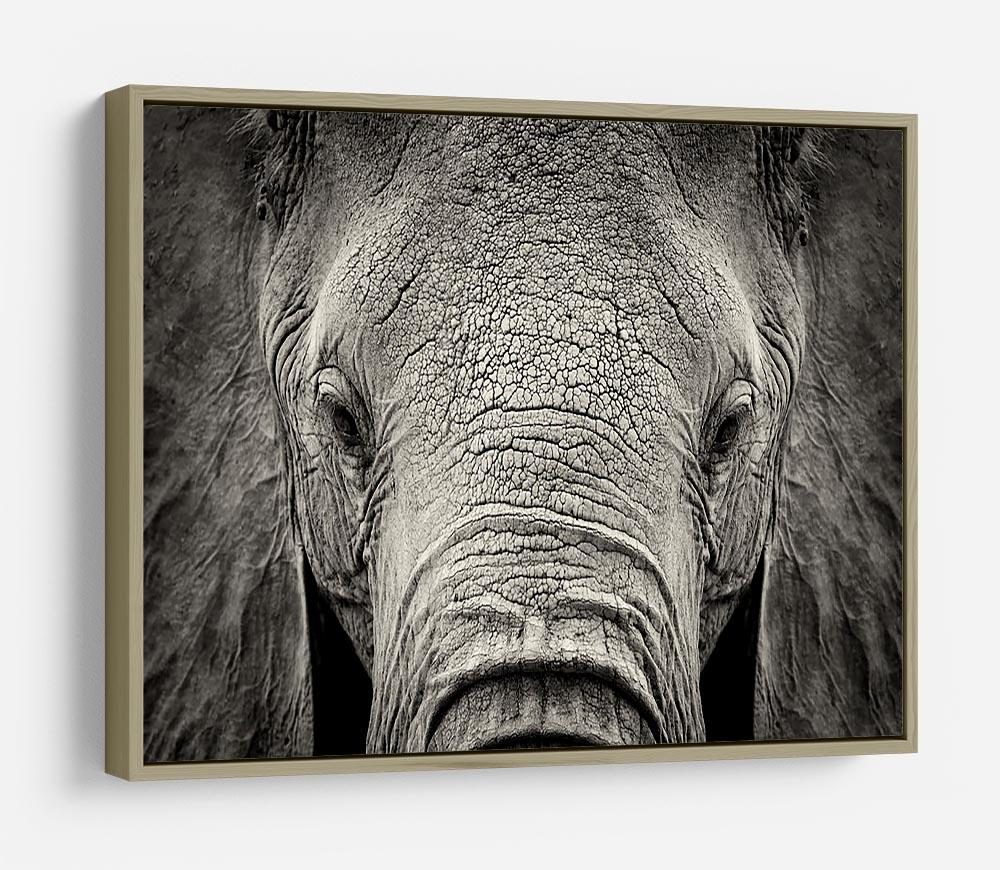 Close-up of African Elephant HD Metal Print - Canvas Art Rocks - 8