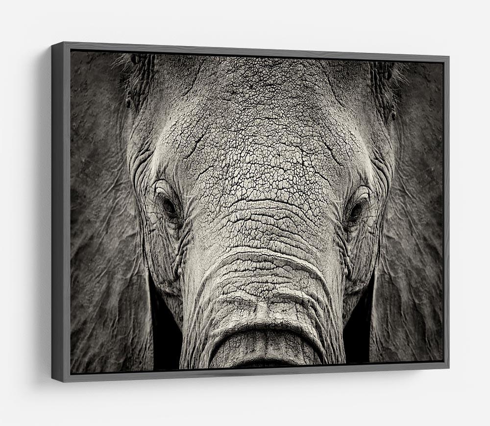 Close-up of African Elephant HD Metal Print - Canvas Art Rocks - 9