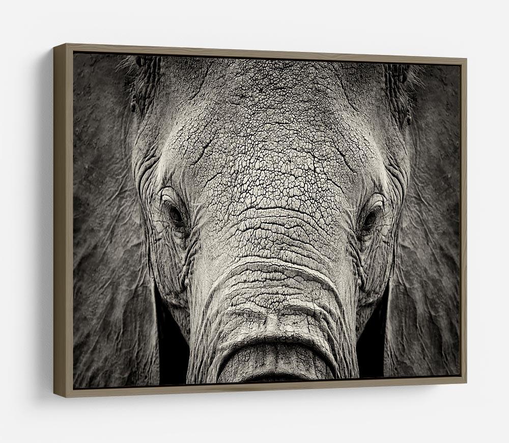 Close-up of African Elephant HD Metal Print - Canvas Art Rocks - 10
