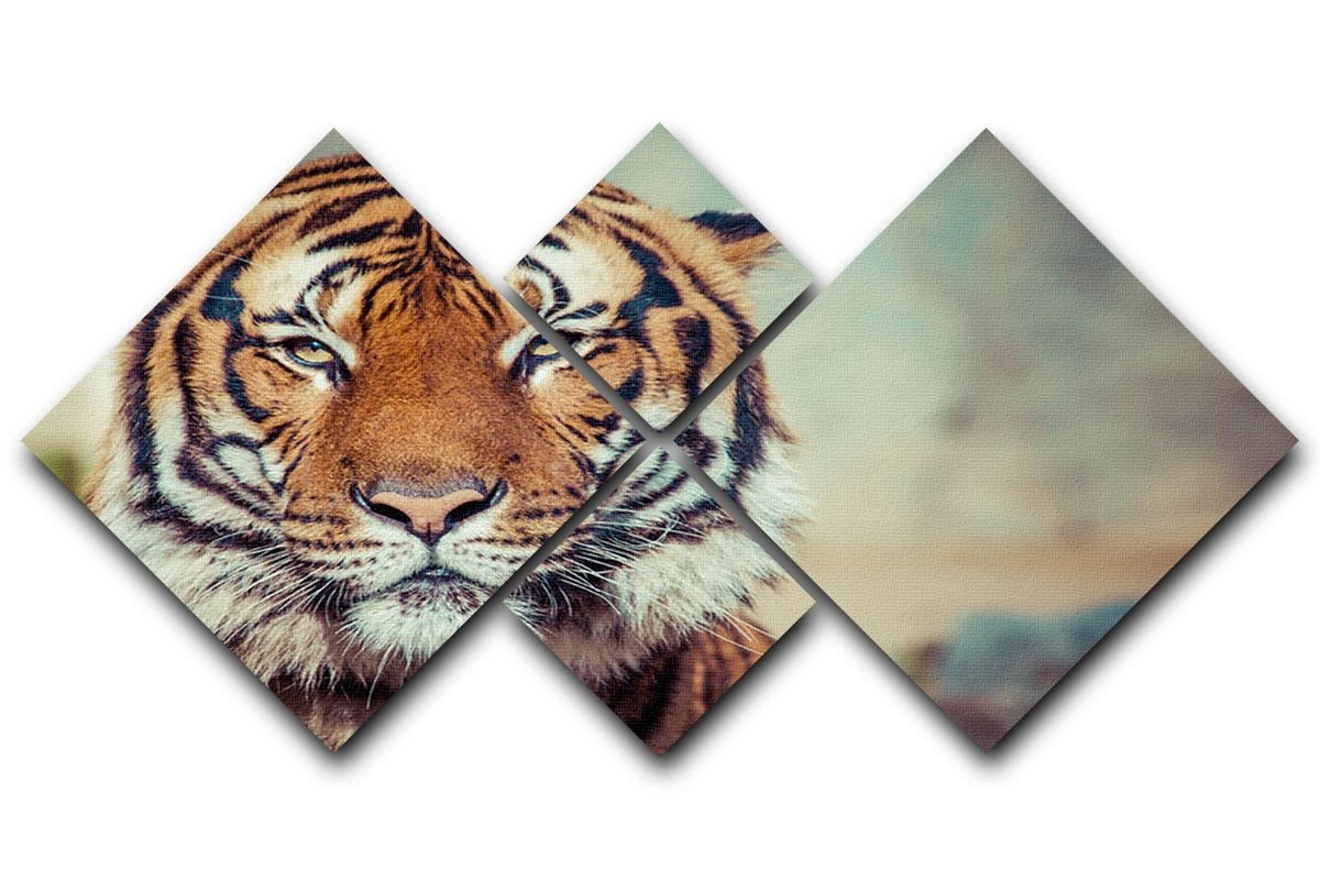 Close-up of a Tigers face 4 Square Multi Panel Canvas - Canvas Art Rocks - 1