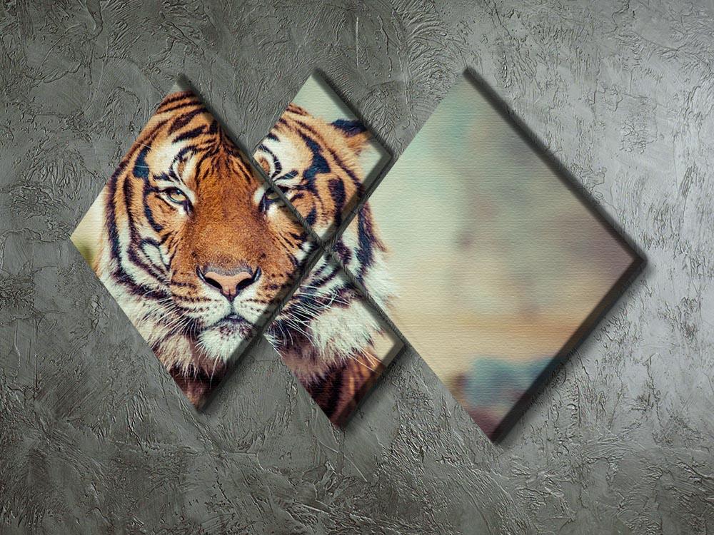 Close-up of a Tigers face 4 Square Multi Panel Canvas - Canvas Art Rocks - 2