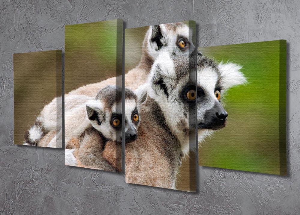 Close-up of a ring-tailed lemur 4 Split Panel Canvas - Canvas Art Rocks - 2