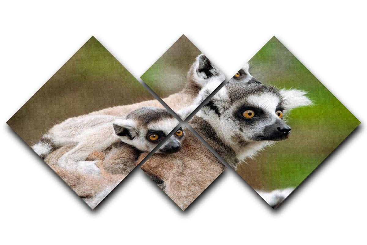 Close-up of a ring-tailed lemur 4 Square Multi Panel Canvas - Canvas Art Rocks - 1