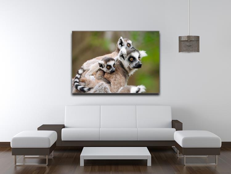 Close-up of a ring-tailed lemur Canvas Print or Poster - Canvas Art Rocks - 4