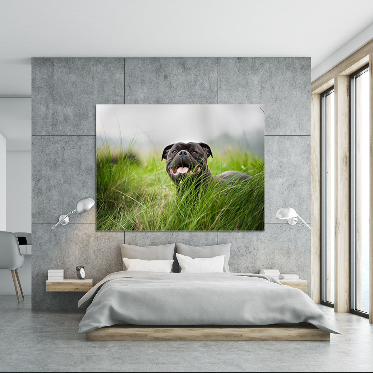 Close-up portrait of black staffordshire bull terrier Canvas Print or Poster