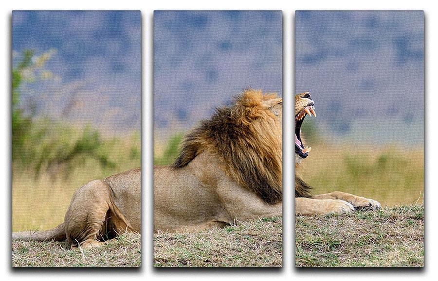 Close lion in National park of Kenya 3 Split Panel Canvas Print - Canvas Art Rocks - 1