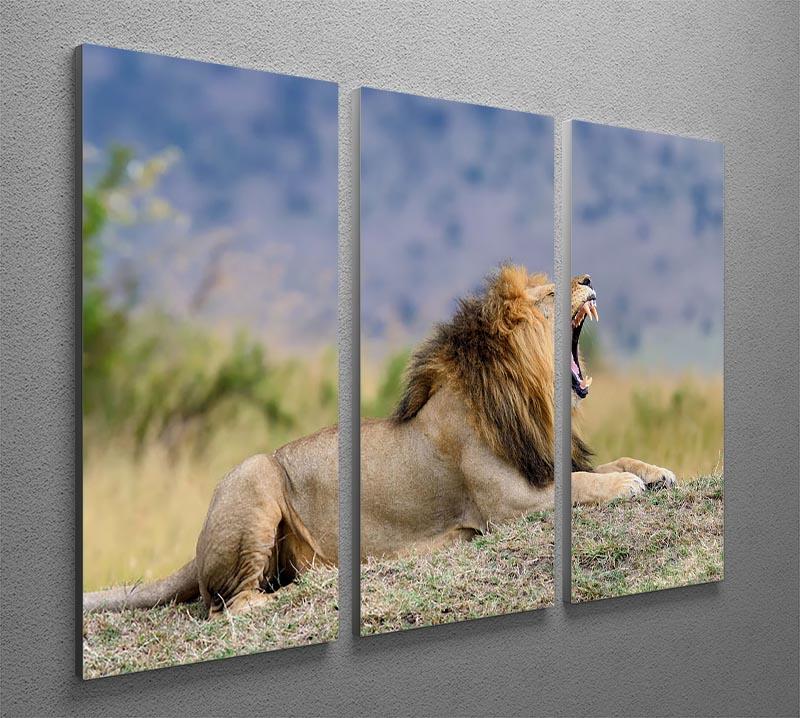 Close lion in National park of Kenya 3 Split Panel Canvas Print - Canvas Art Rocks - 2