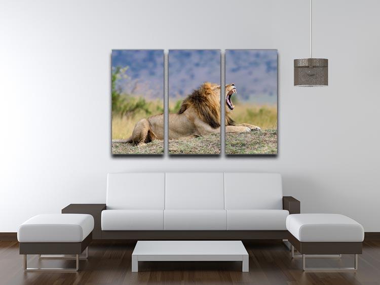 Close lion in National park of Kenya 3 Split Panel Canvas Print - Canvas Art Rocks - 3