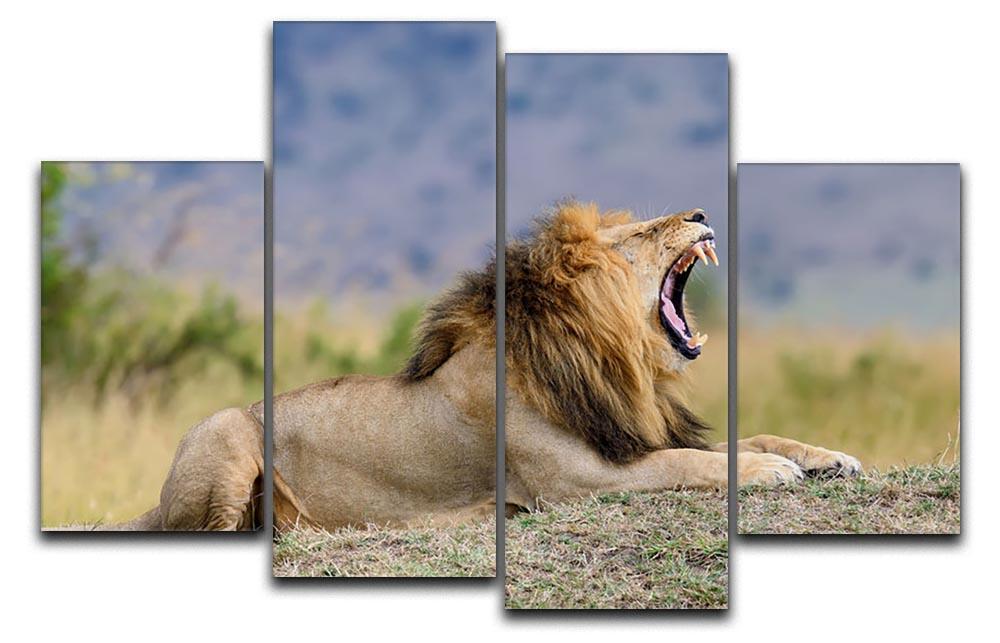 Close lion in National park of Kenya 4 Split Panel Canvas - Canvas Art Rocks - 1
