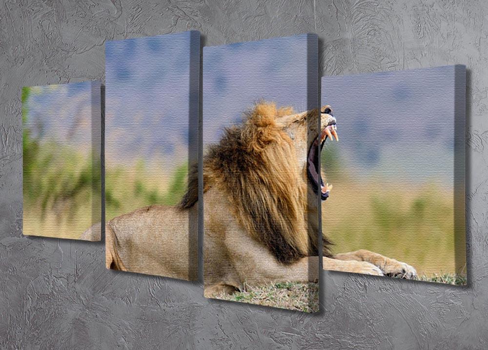 Close lion in National park of Kenya 4 Split Panel Canvas - Canvas Art Rocks - 2