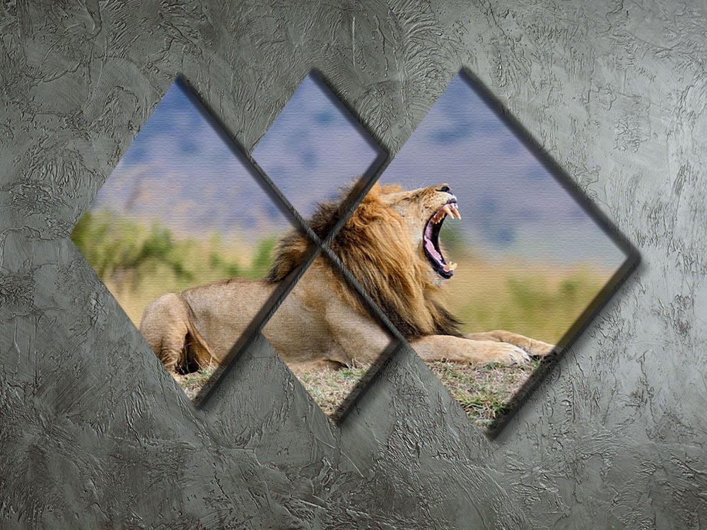 Close lion in National park of Kenya 4 Square Multi Panel Canvas - Canvas Art Rocks - 2