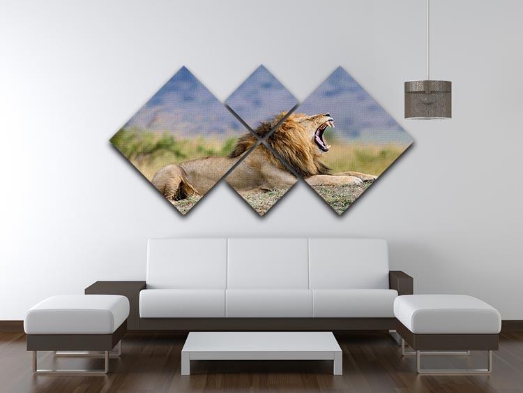 Close lion in National park of Kenya 4 Square Multi Panel Canvas - Canvas Art Rocks - 3