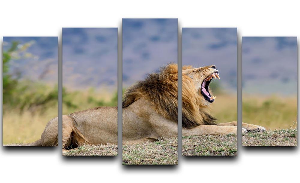 Close lion in National park of Kenya 5 Split Panel Canvas - Canvas Art Rocks - 1