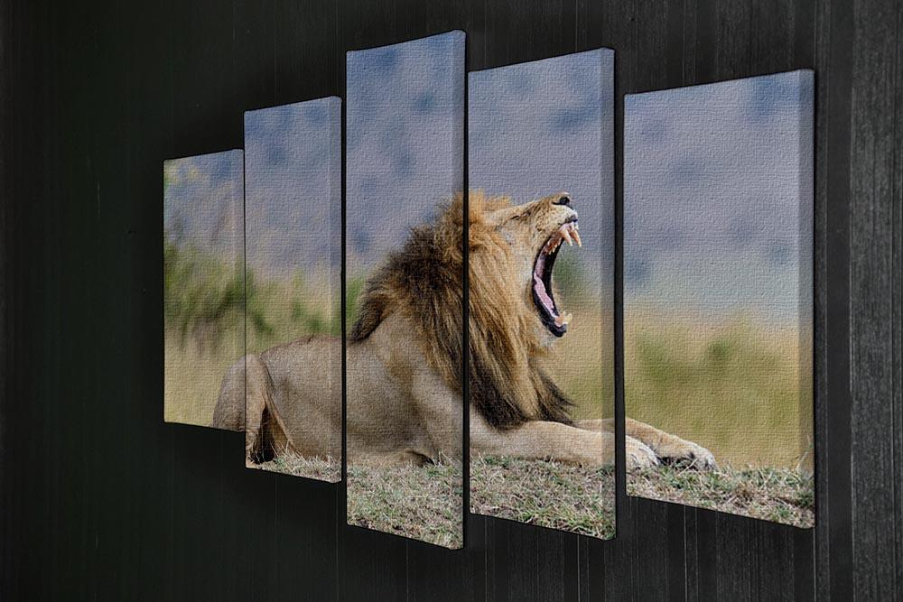 Close lion in National park of Kenya 5 Split Panel Canvas - Canvas Art Rocks - 2