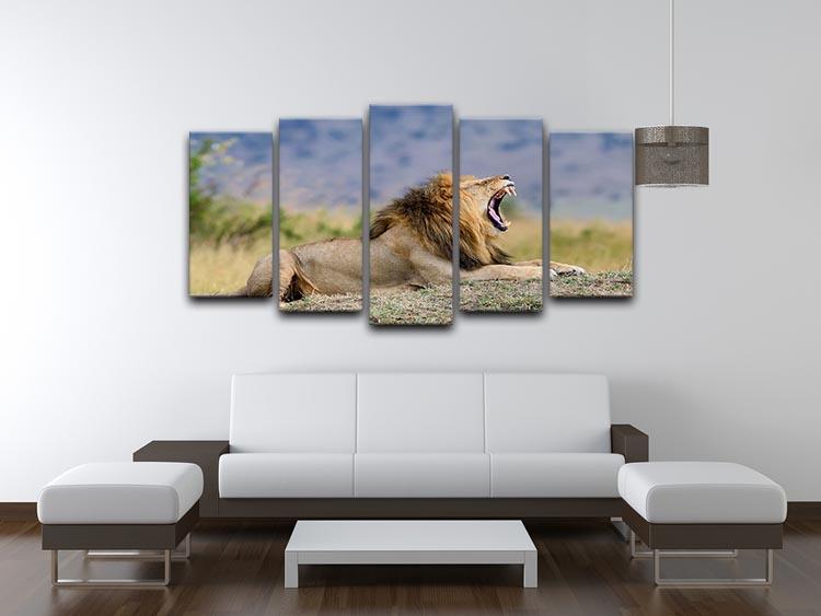 Close lion in National park of Kenya 5 Split Panel Canvas - Canvas Art Rocks - 3