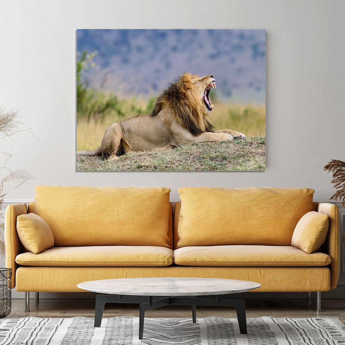 Close lion in National park of Kenya Canvas Print or Poster
