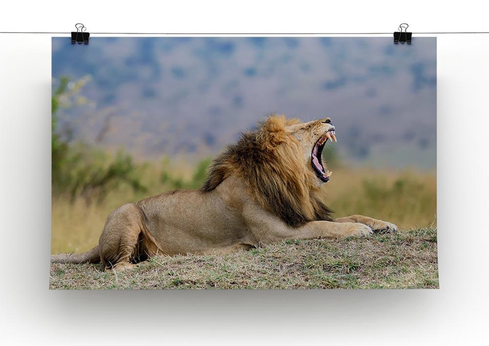 Close lion in National park of Kenya Canvas Print or Poster - Canvas Art Rocks - 2