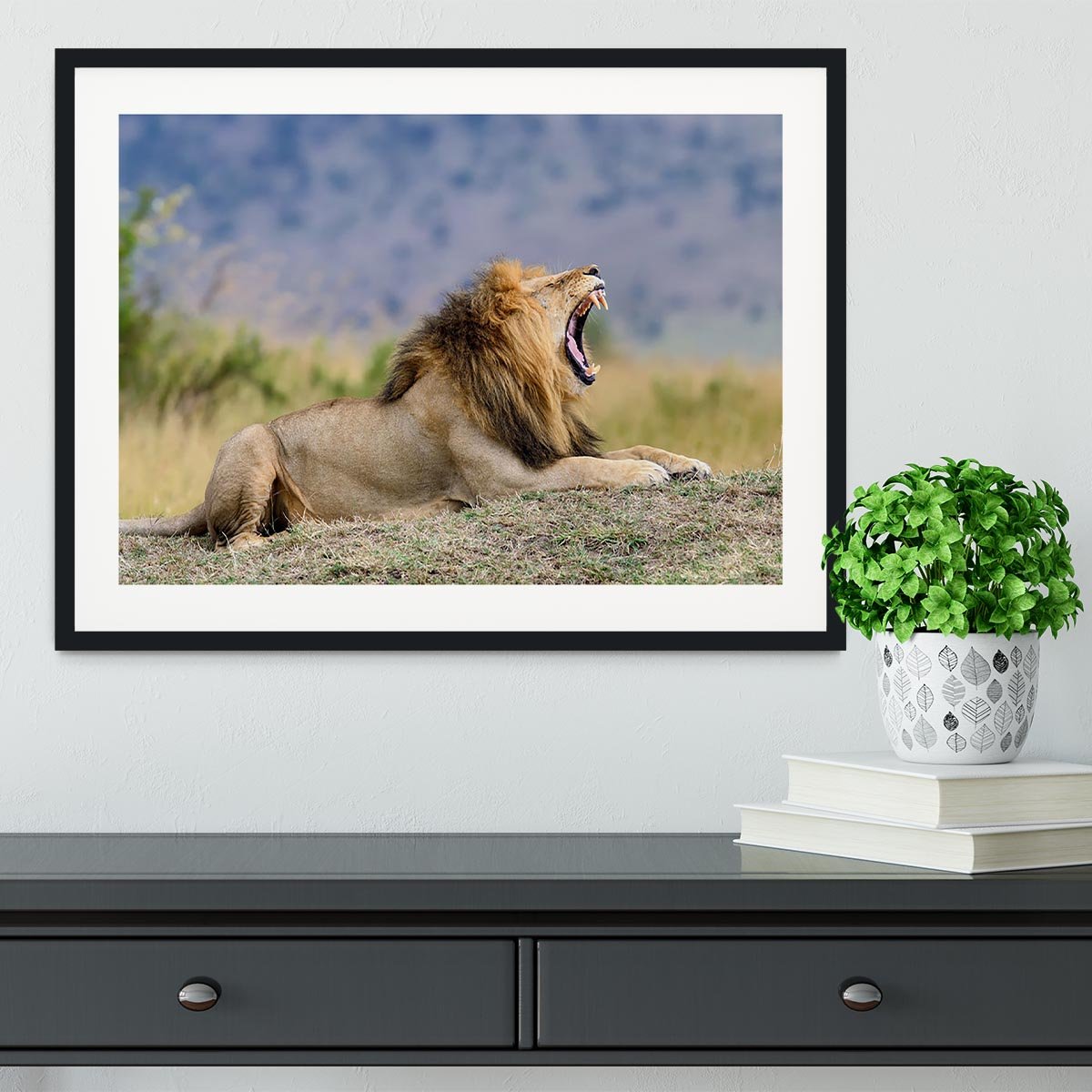 Close lion in National park of Kenya Framed Print - Canvas Art Rocks - 1