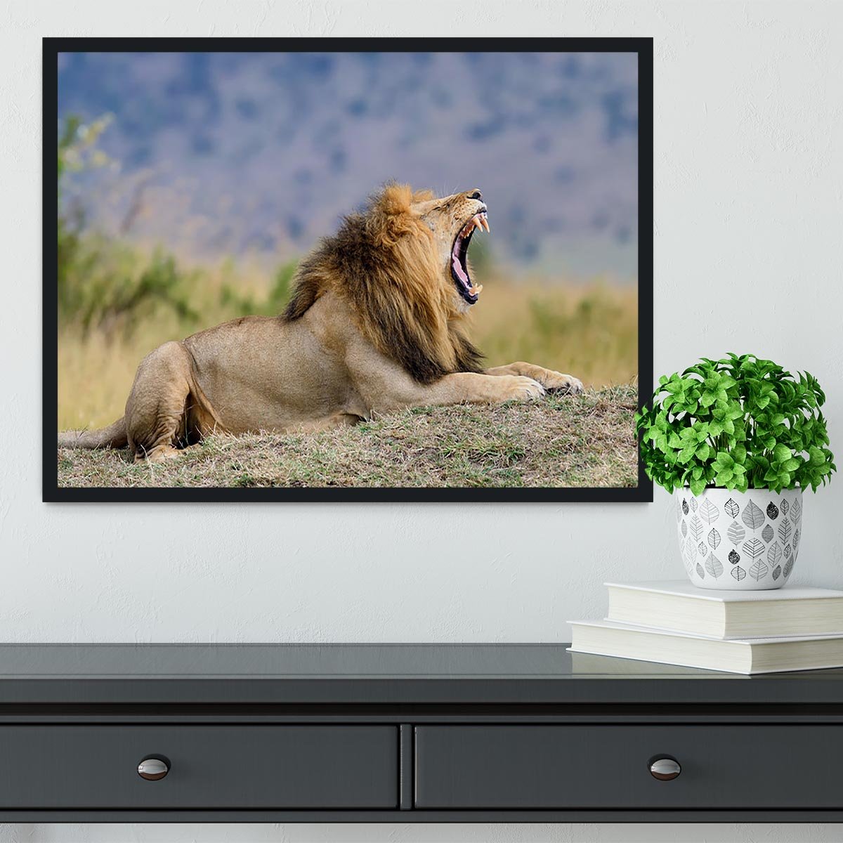 Close lion in National park of Kenya Framed Print - Canvas Art Rocks - 2