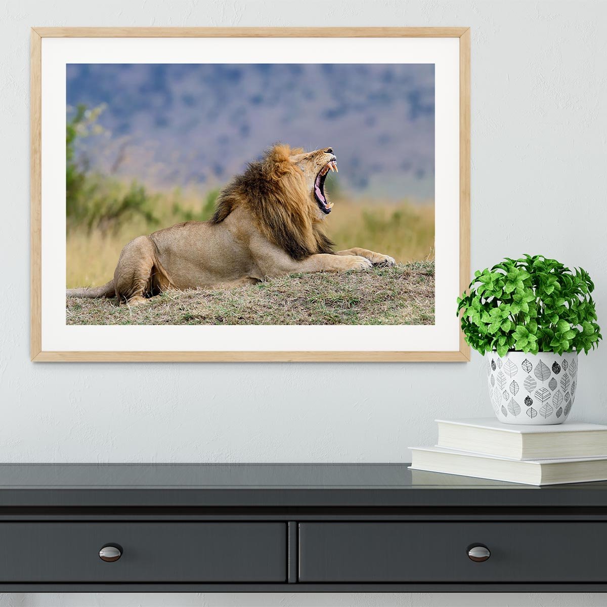 Close lion in National park of Kenya Framed Print - Canvas Art Rocks - 3
