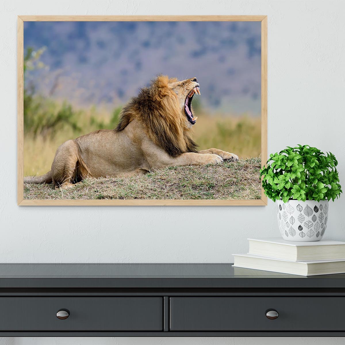 Close lion in National park of Kenya Framed Print - Canvas Art Rocks - 4