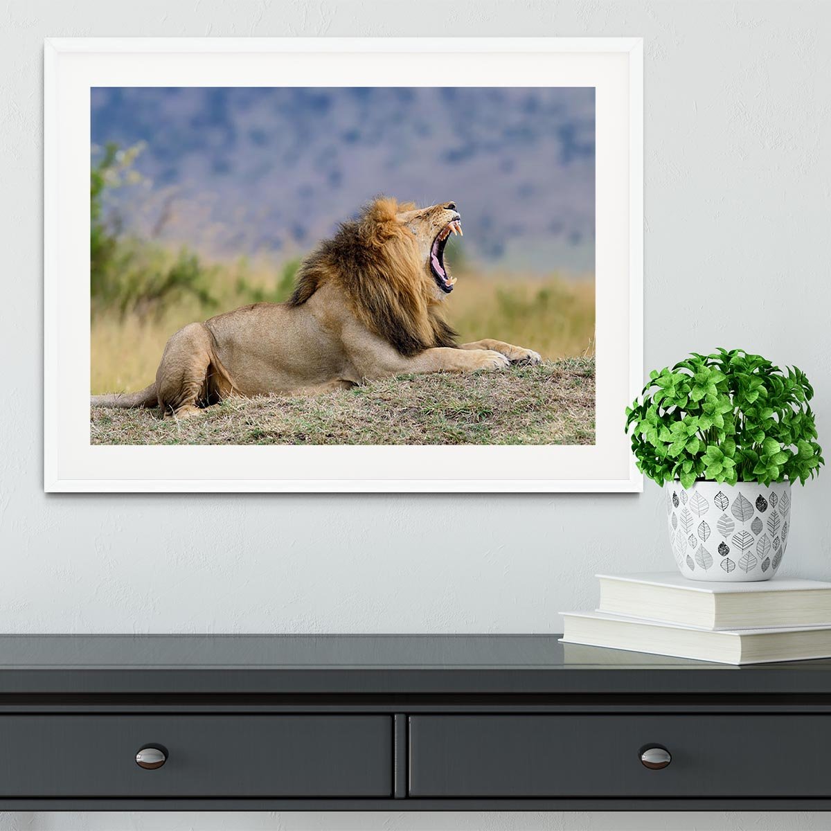 Close lion in National park of Kenya Framed Print - Canvas Art Rocks - 5