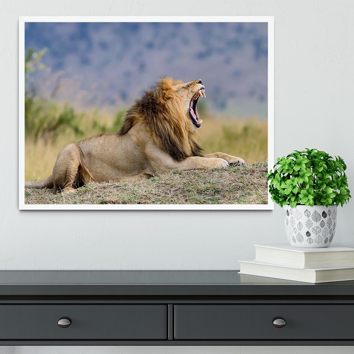 Close lion in National park of Kenya Framed Print - Canvas Art Rocks -6