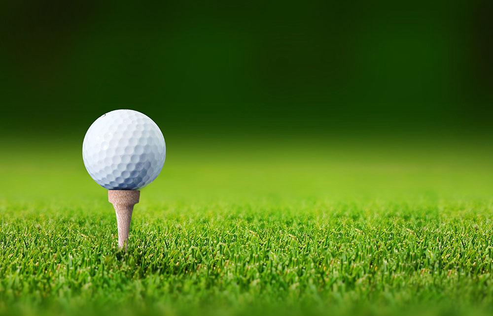 Close up golf ball Wall Mural Wallpaper - Canvas Art Rocks - 1