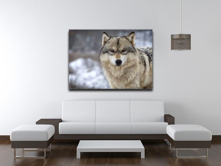 Close up head and shoulders image of a Timber Wolf Canvas Print or Poster - Canvas Art Rocks - 4
