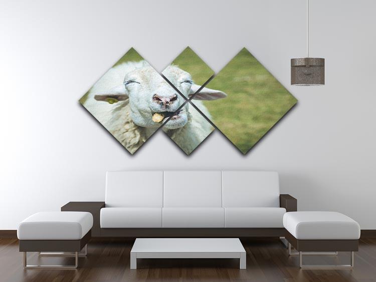 Close up head of sheep in farm 4 Square Multi Panel Canvas - Canvas Art Rocks - 3