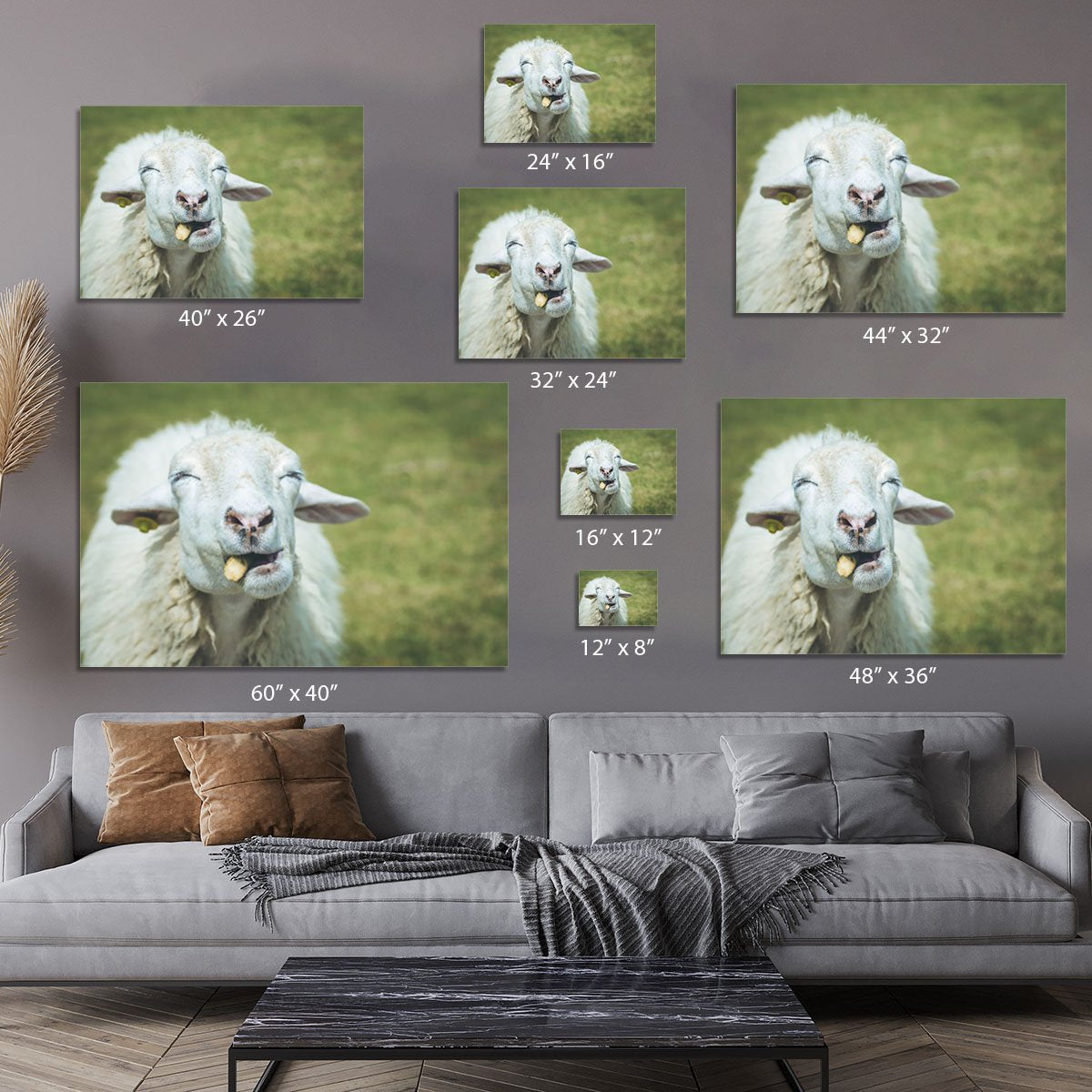 Close up head of sheep in farm Canvas Print or Poster