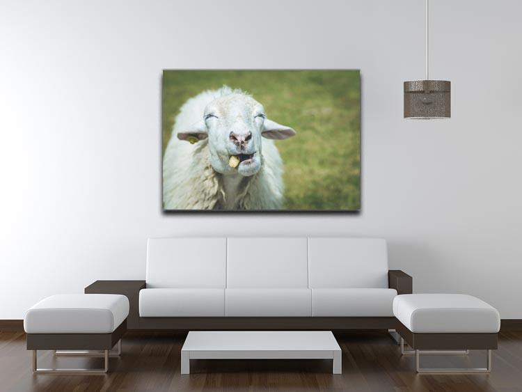 Close up head of sheep in farm Canvas Print or Poster - Canvas Art Rocks - 4