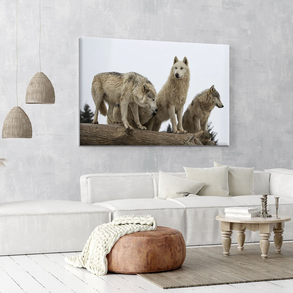 Close up image of a grey wolf pack Canvas Print or Poster