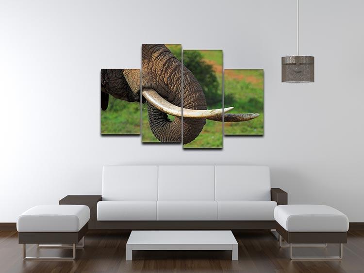 Close up of an African Elephants tusks 4 Split Panel Canvas - Canvas Art Rocks - 3