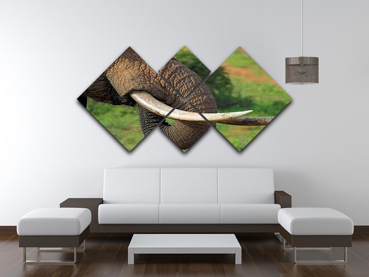 Close up of an African Elephants tusks 4 Square Multi Panel Canvas - Canvas Art Rocks - 3