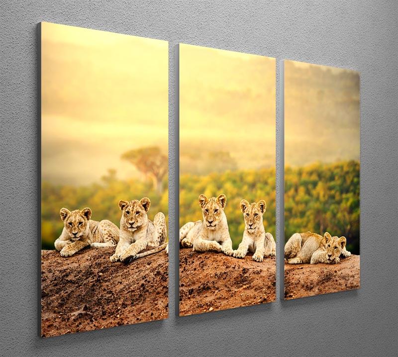 Close up of lion cubs laying together 3 Split Panel Canvas Print - Canvas Art Rocks - 2