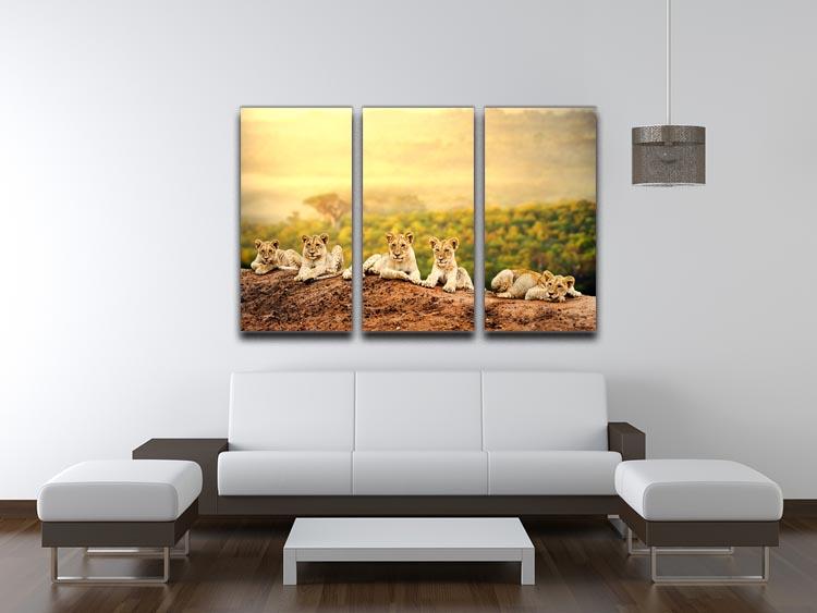 Close up of lion cubs laying together 3 Split Panel Canvas Print - Canvas Art Rocks - 3