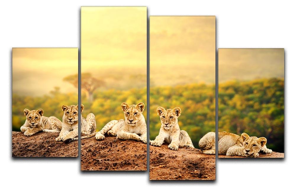 Close up of lion cubs laying together 4 Split Panel Canvas - Canvas Art Rocks - 1