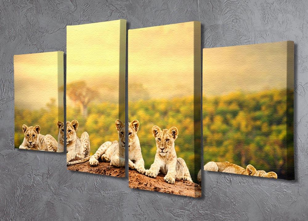 Close up of lion cubs laying together 4 Split Panel Canvas - Canvas Art Rocks - 2