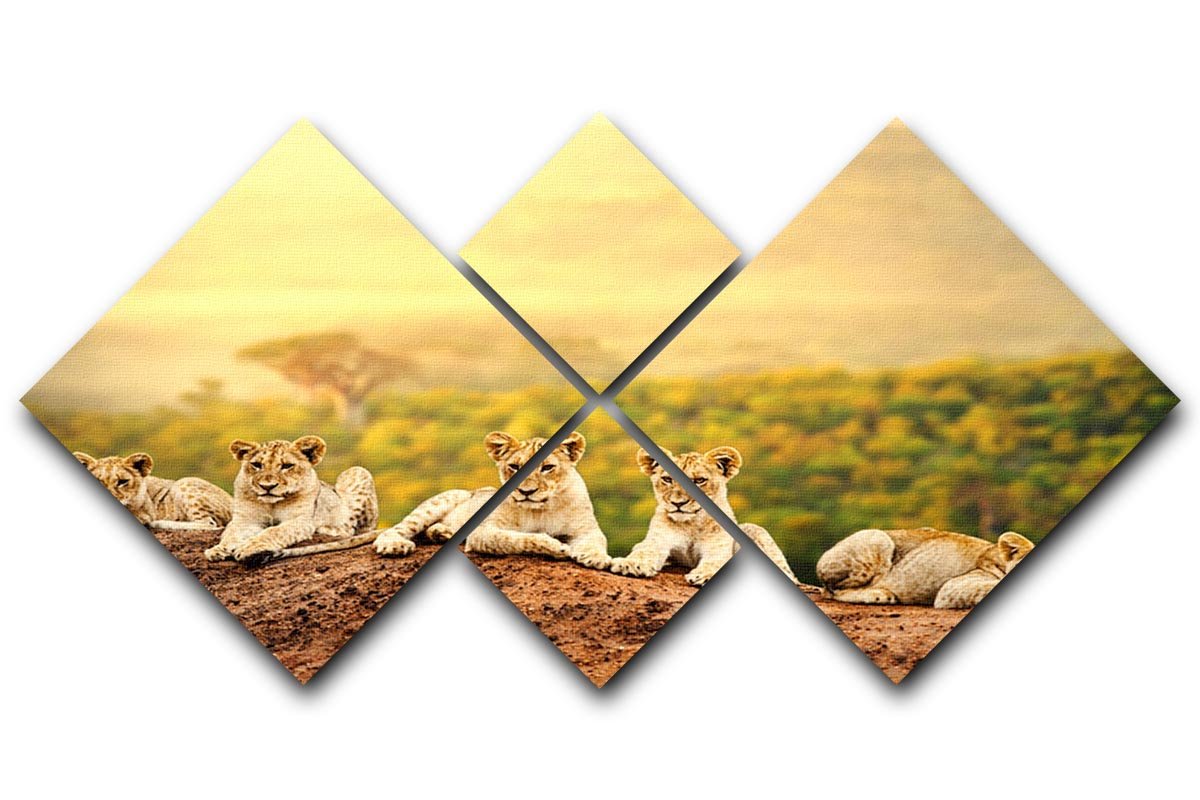 Close up of lion cubs laying together 4 Square Multi Panel Canvas - Canvas Art Rocks - 1