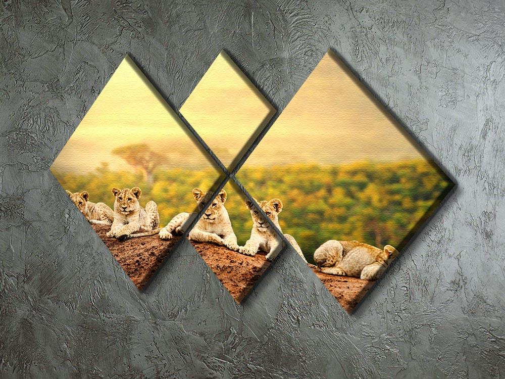 Close up of lion cubs laying together 4 Square Multi Panel Canvas - Canvas Art Rocks - 2