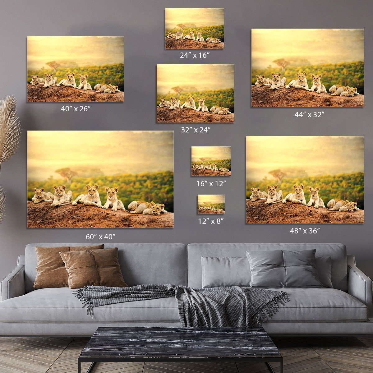 Close up of lion cubs laying together Canvas Print or Poster