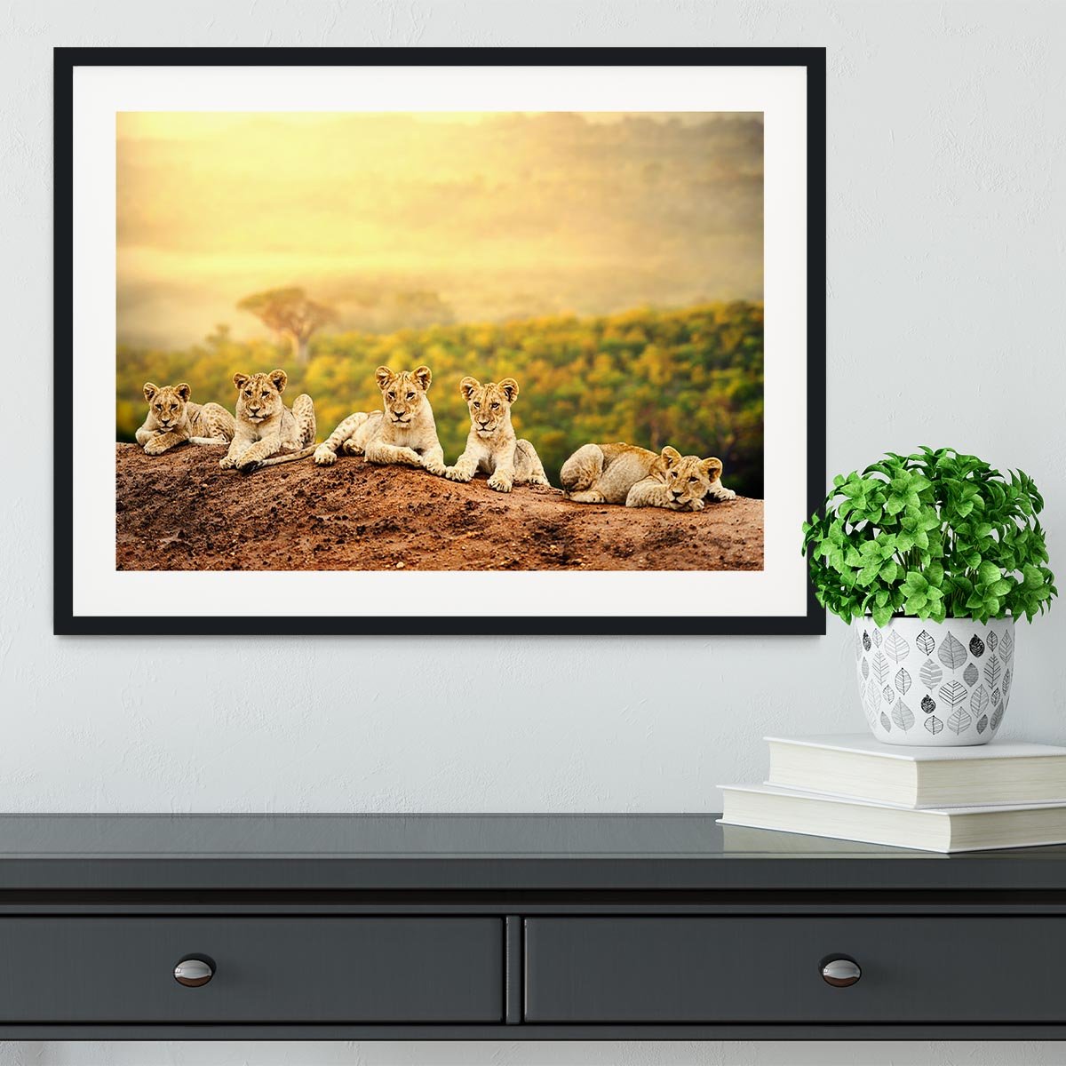 Close up of lion cubs laying together Framed Print - Canvas Art Rocks - 1